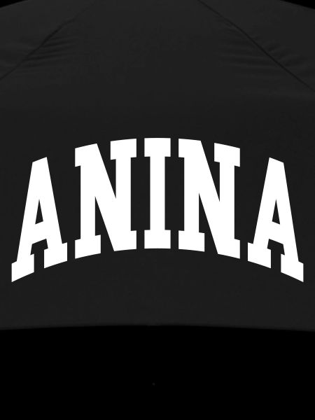 Anina