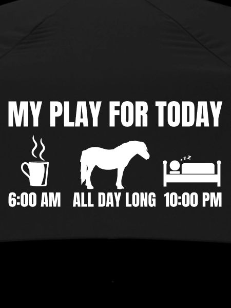 Riding plan