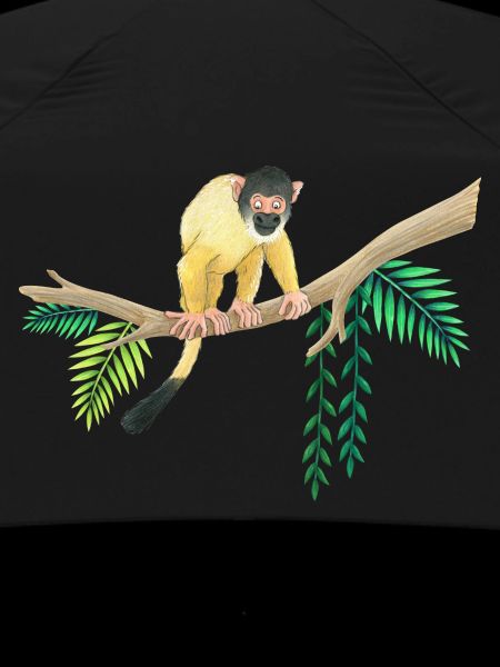 little monkey