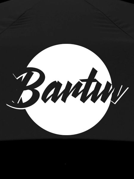 Bartın