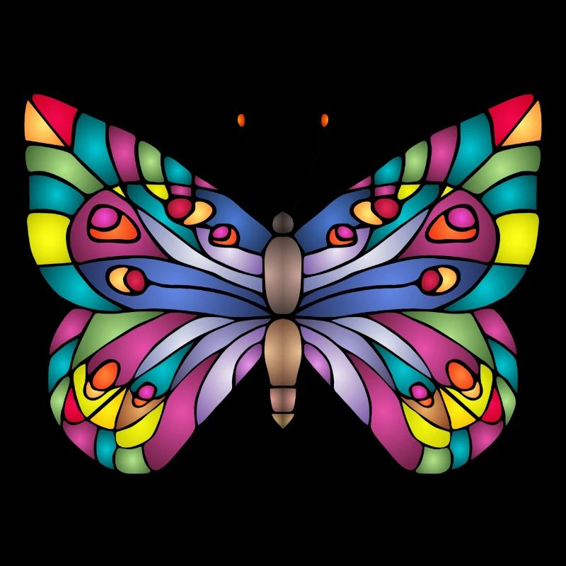Bunter Schmetterling