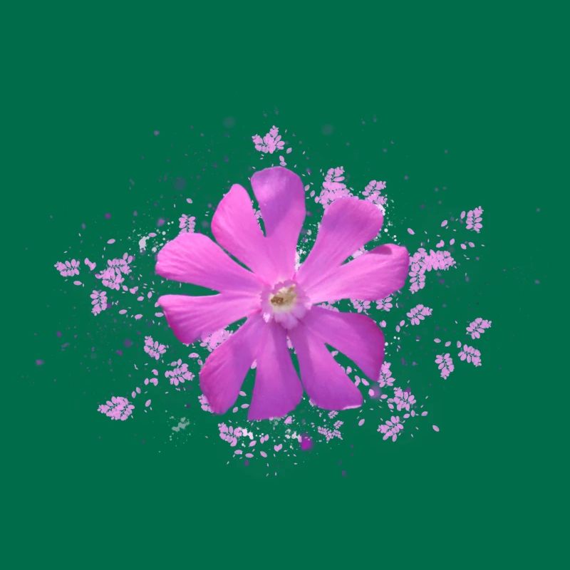 fleur rose fleur rose