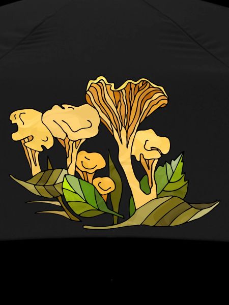 Fungi