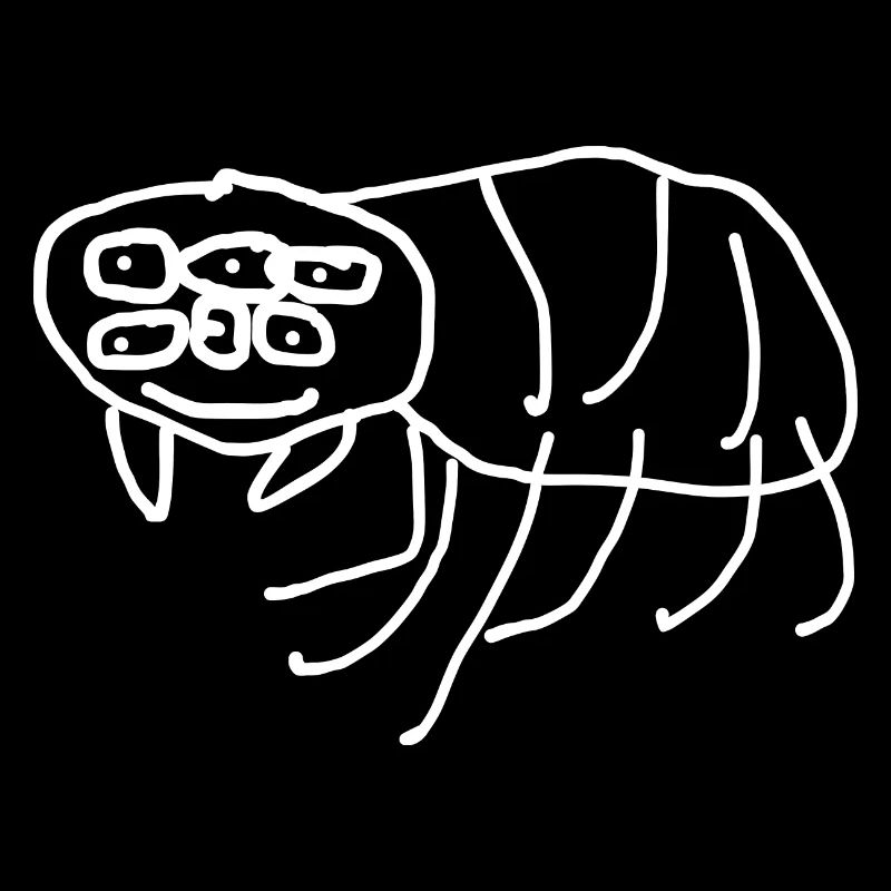 Animal araignée