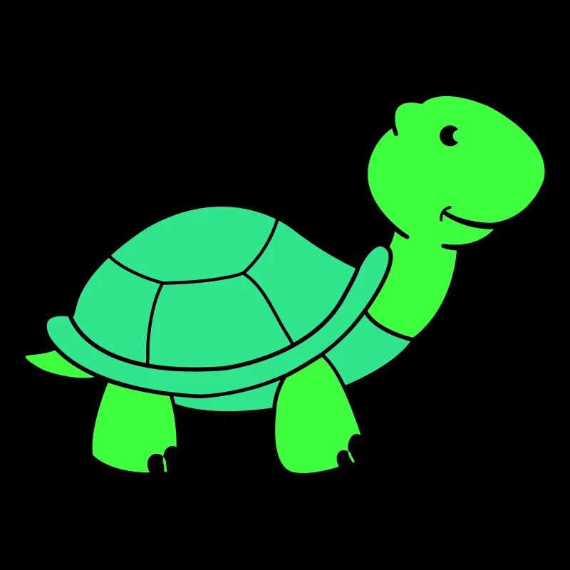 turtle