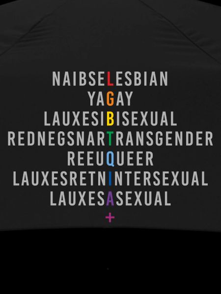 LGBTQIA+ Rainbow Flag Reflection