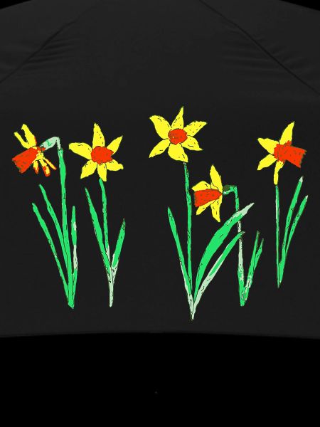 Daffodils
