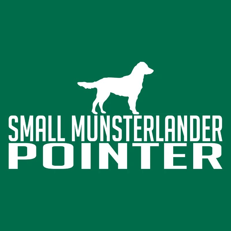 Small Munsterlander Pointer Hunderasse Hund Hunde