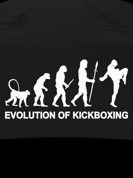 Development of kickboxing