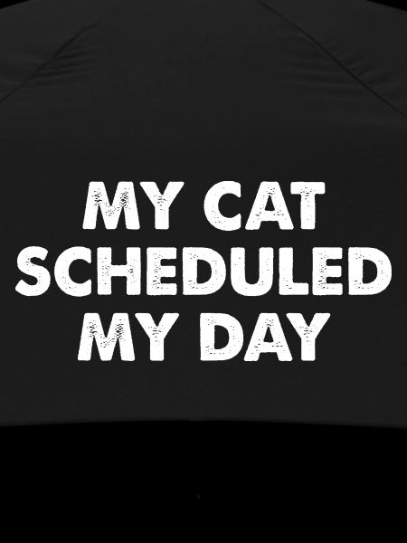 My Cat Scheduled My Day