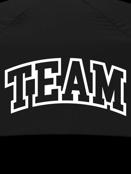 Team Schriftzug