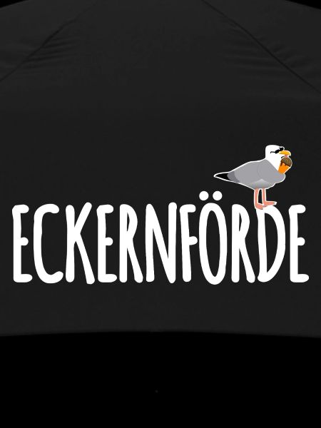 Eckernförde Möwe Ostsee