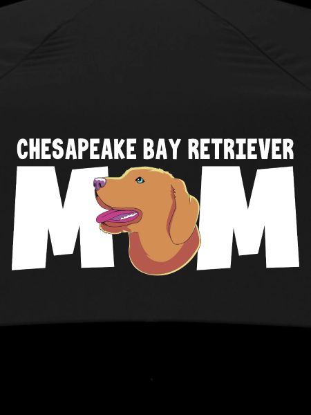 Chesapeake Bay Retriever