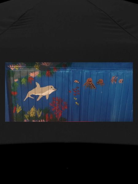Dolphin in the reef