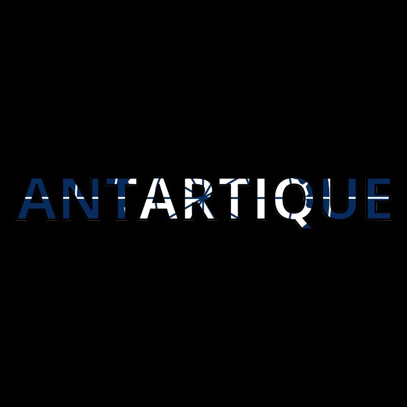 Drapeau antartique