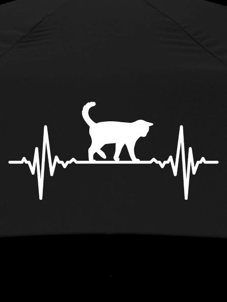 Cat Heartbeat ECG