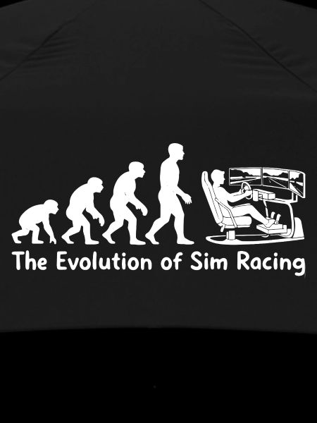 L’évolution du sim racing