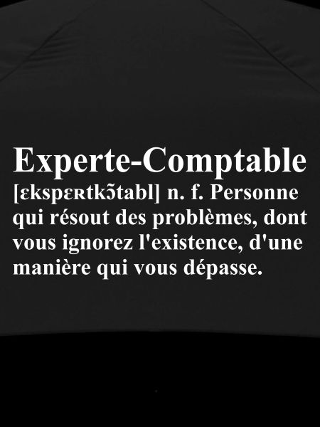 Experte-Comptable Définition