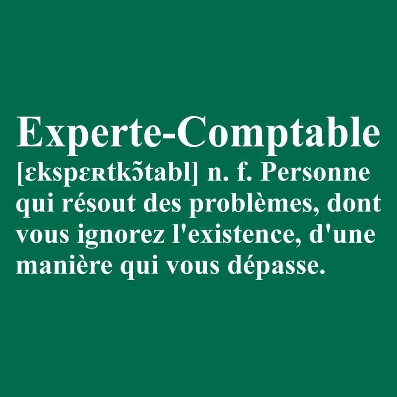 Experte-Comptable Définition