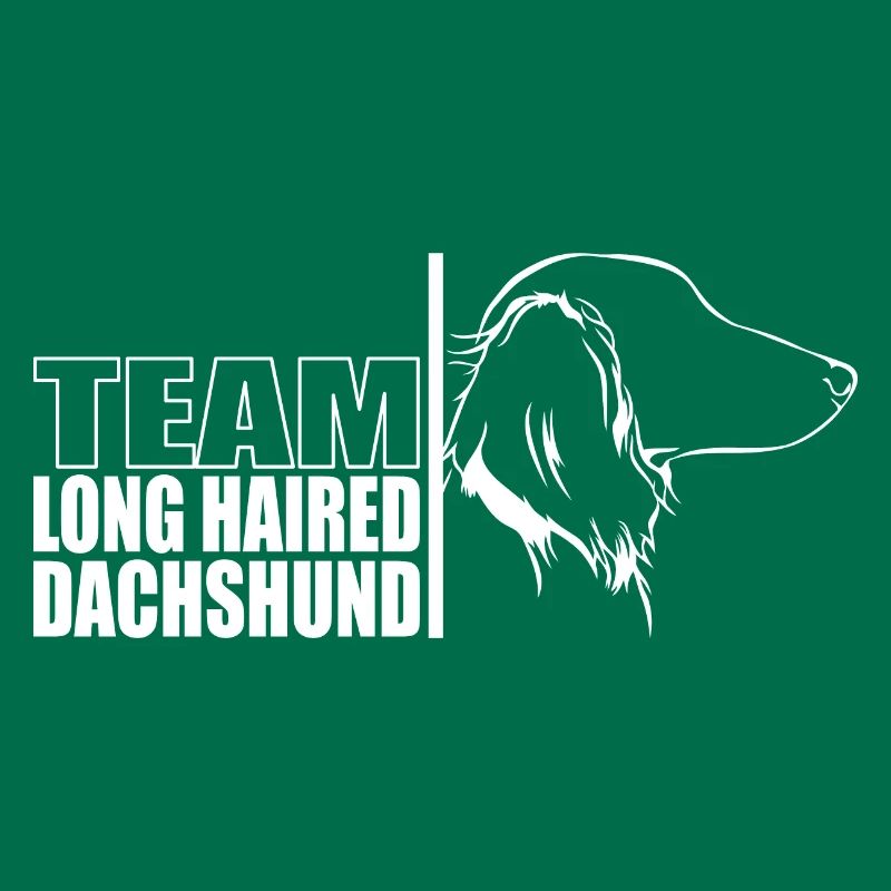 TEAM Teckel à poil long Chiens Teckel Wilsigns
