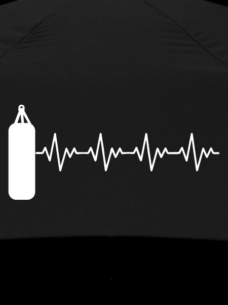 Boxer_2_EKG_weiss