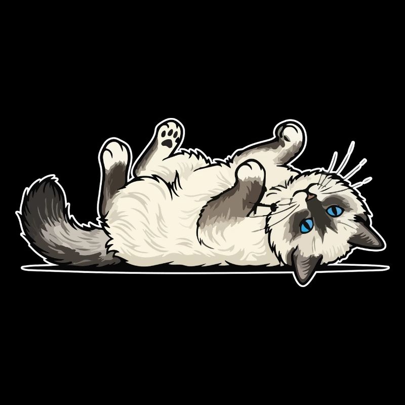 Grey Tabby Cat Marauding Hunter Portrait