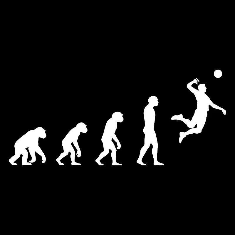 Evolution volleyball