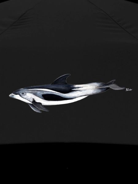 White-beaked dolphin - White beaked dolphin