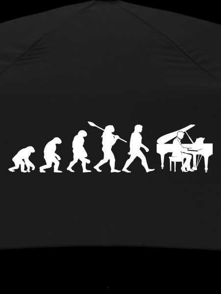 Evolution Pianiste