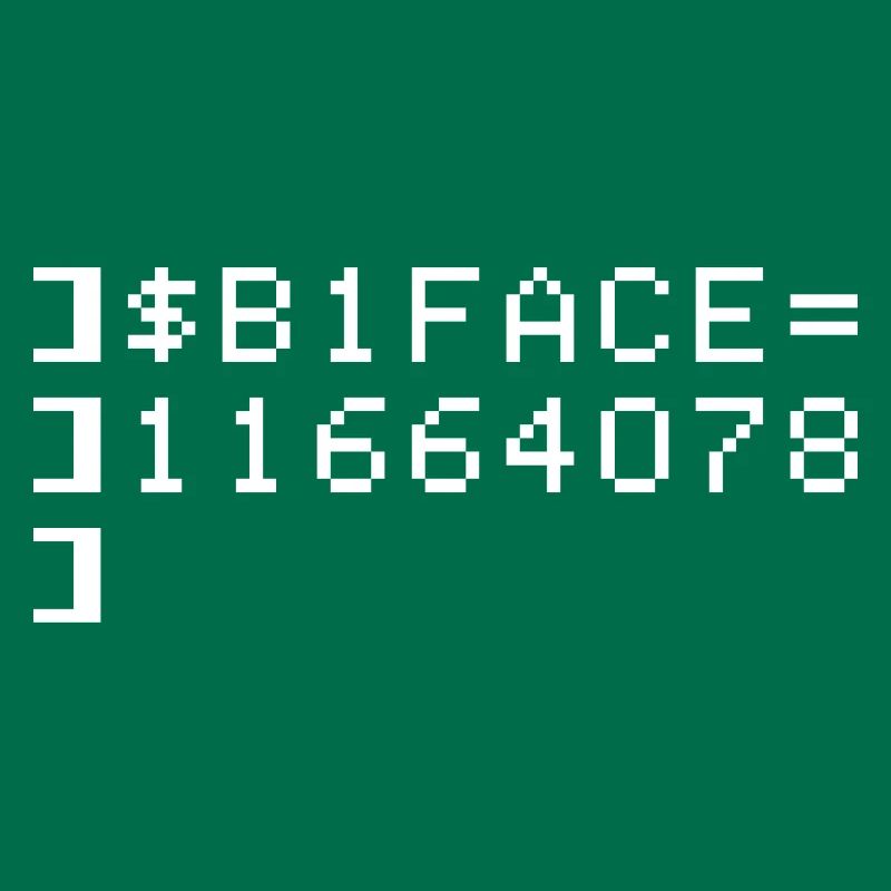 B1FACE Biface Code hexadécimal 8 bits Geek