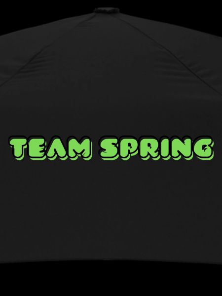 TEAM SPRING