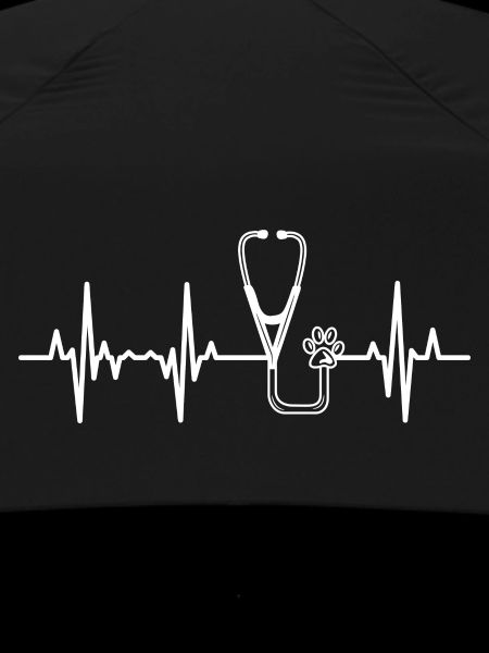 Stethoscope Heartbeat