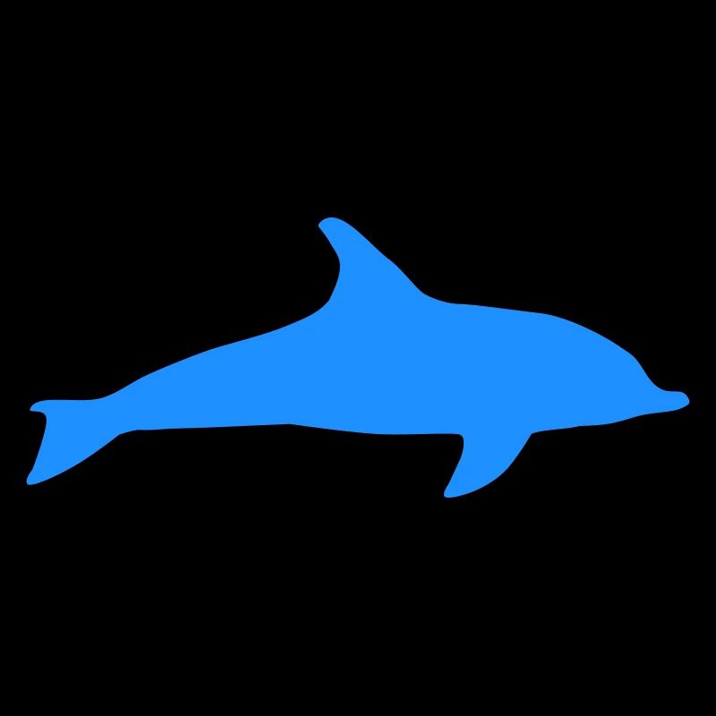 Dolphin