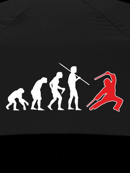 Escrima Evolution 4
