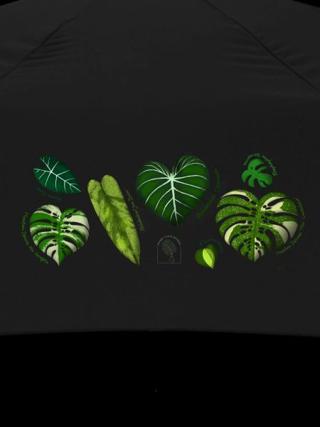 Botanical Strip
