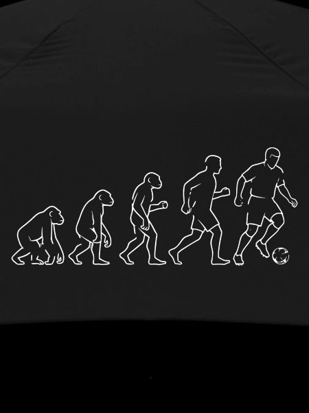 Fan d’Evolution Soccer Kick Soccer