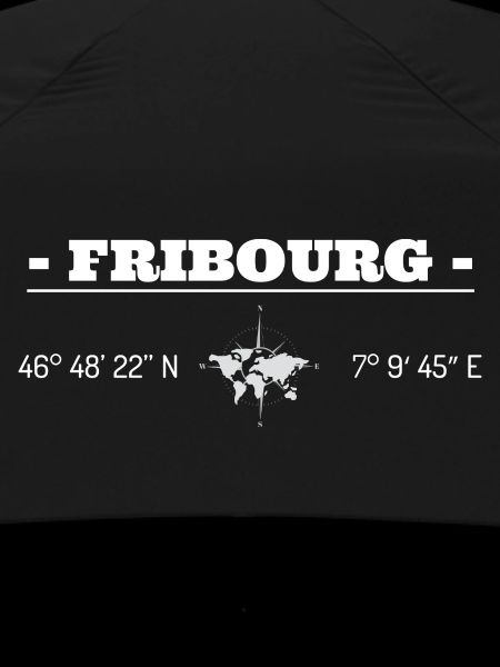 Coordinates Fribourg