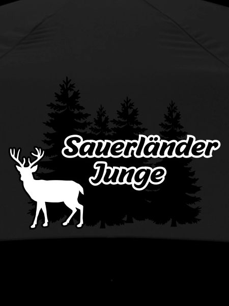 Sauerländer Junge