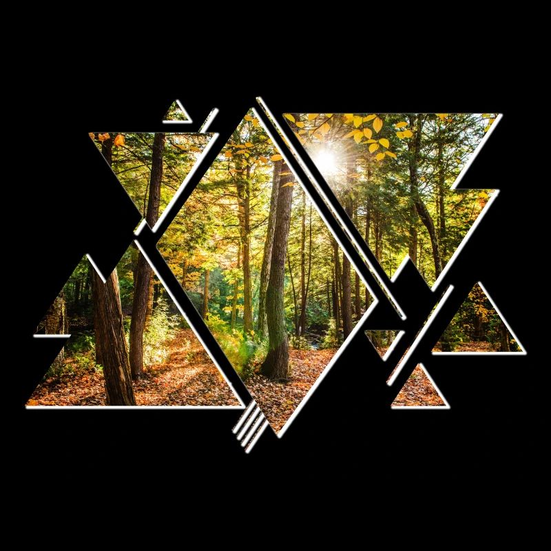 Nature Adventure Adventure Forest Forest Tree Trees