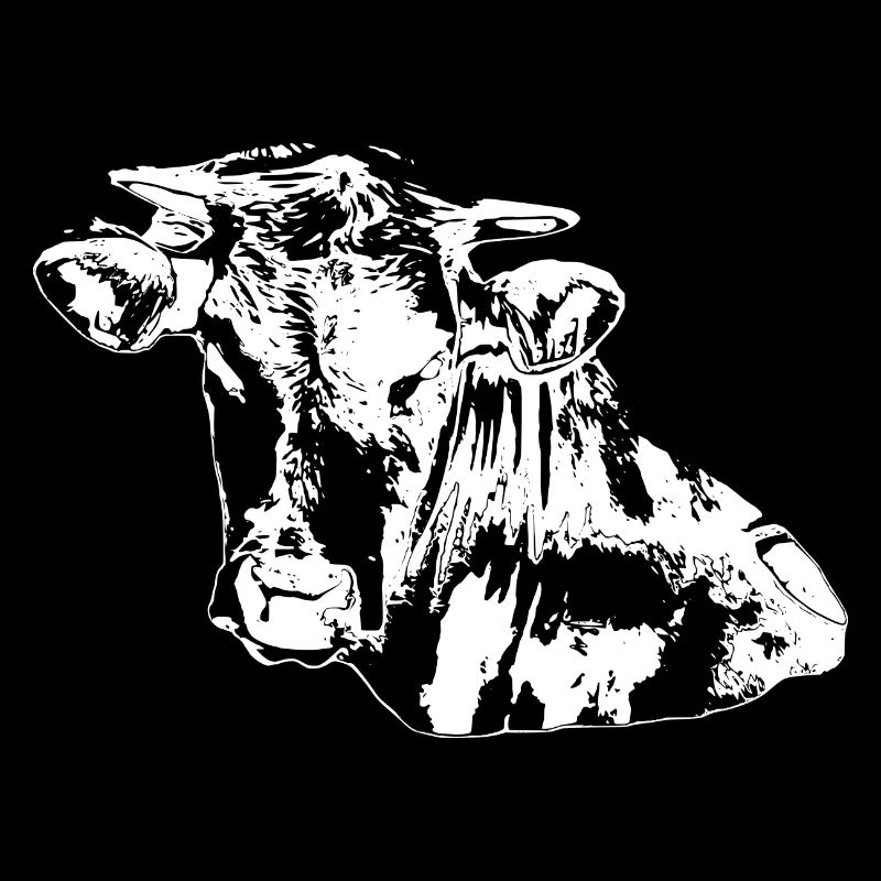 Cow Cows Silhouettes Cow Head White