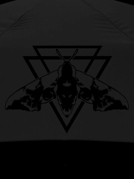 Moth