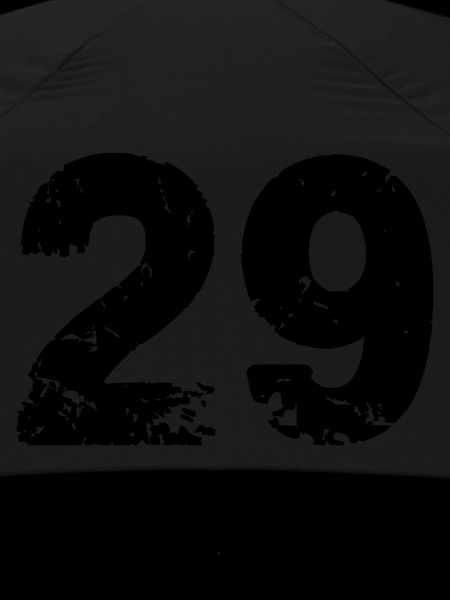 29