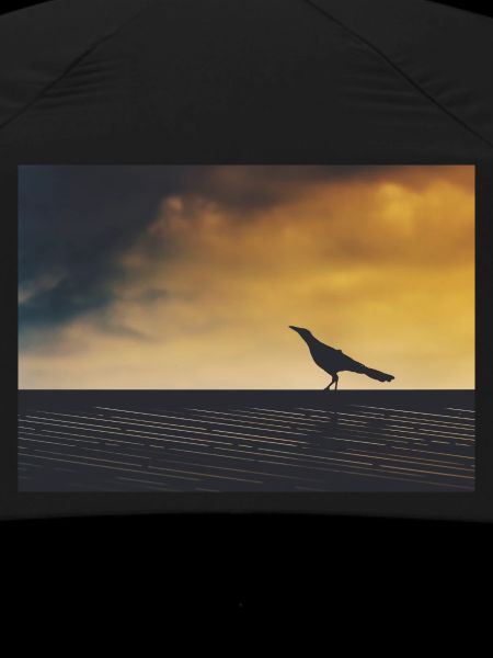 Crow exploring