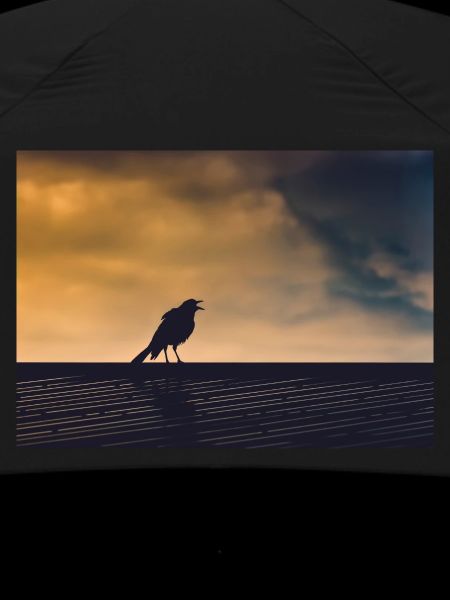 Singing Crow