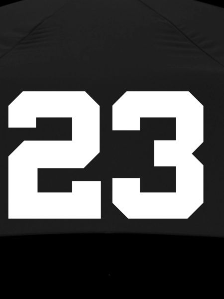 Number 23