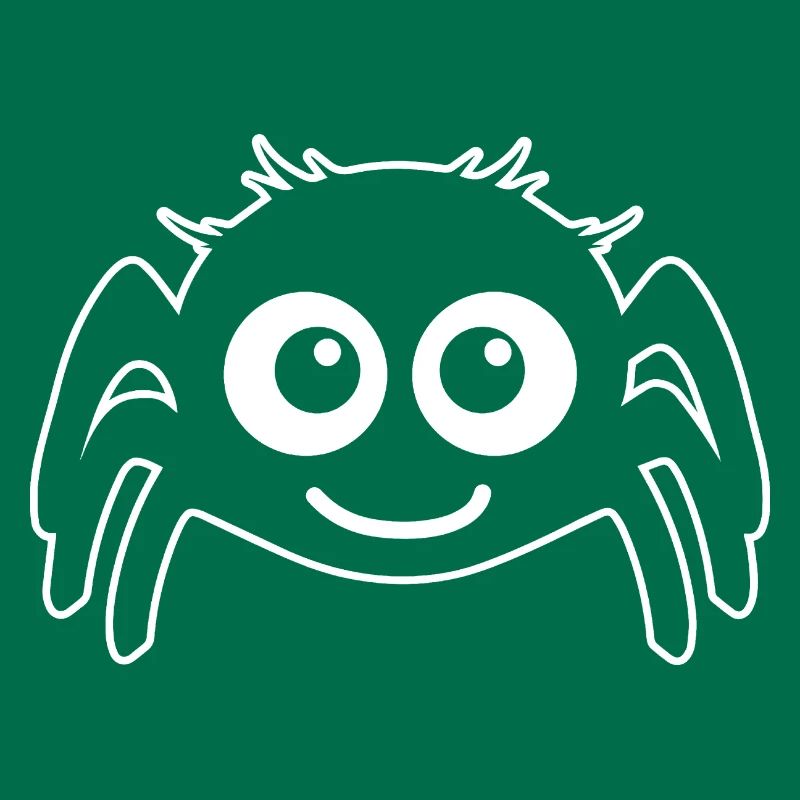 Spider spiders animals