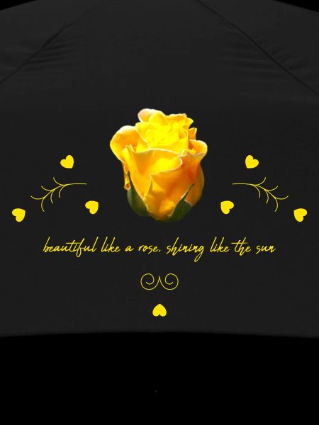 beautiful rose