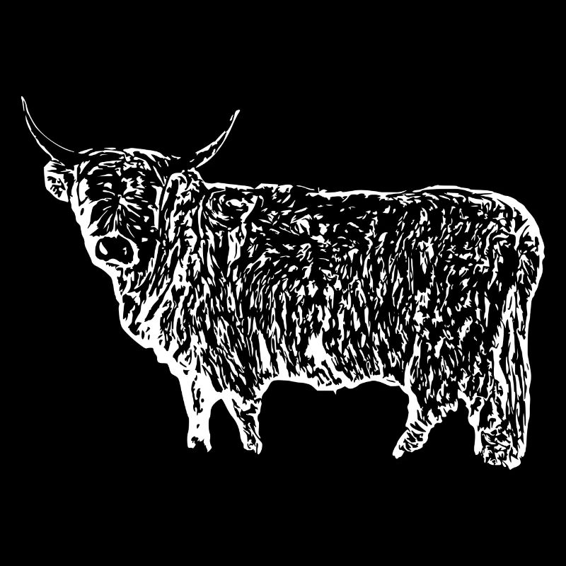 Scottish Highland Cattle Cow Beef