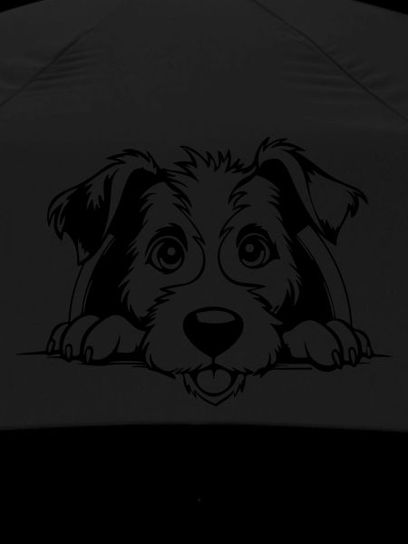 Fox-terrier