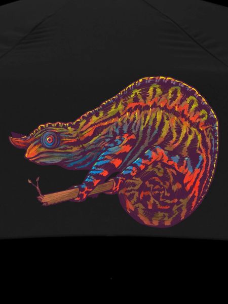 Caméléon
